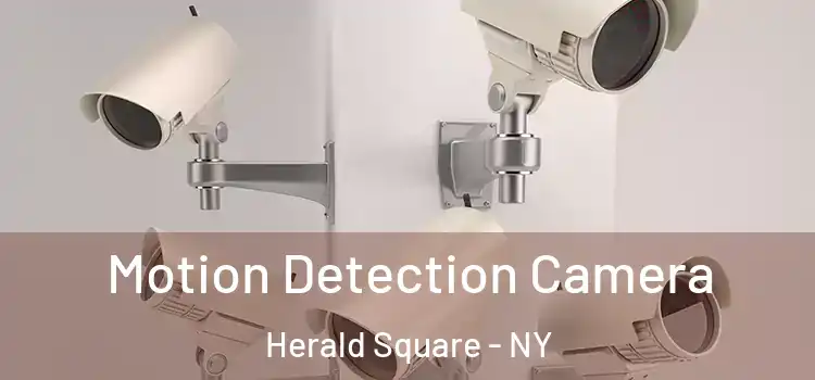  Motion Detection Camera Herald Square - NY