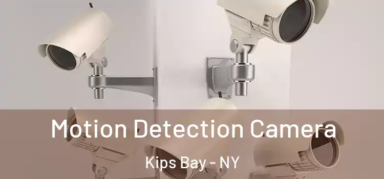  Motion Detection Camera Kips Bay - NY