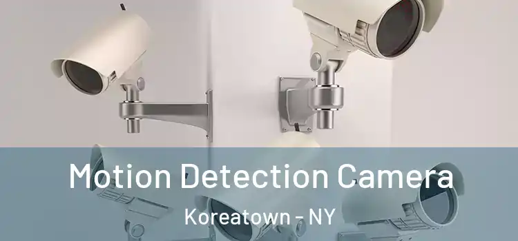  Motion Detection Camera Koreatown - NY
