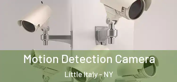  Motion Detection Camera Little Italy - NY
