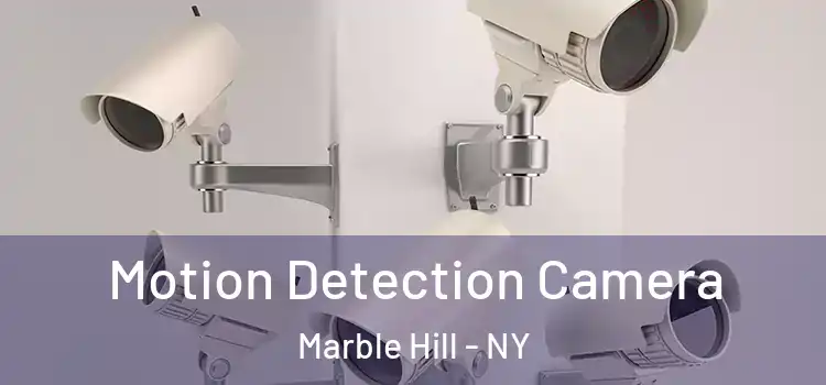  Motion Detection Camera Marble Hill - NY