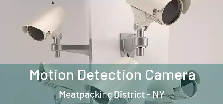  Motion Detection Camera Meatpacking District - NY