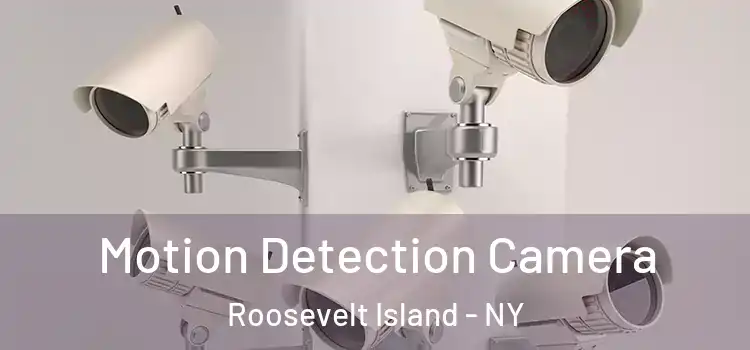  Motion Detection Camera Roosevelt Island - NY