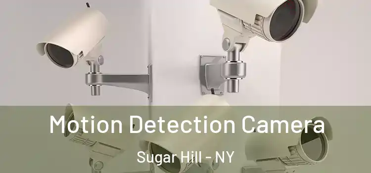  Motion Detection Camera Sugar Hill - NY