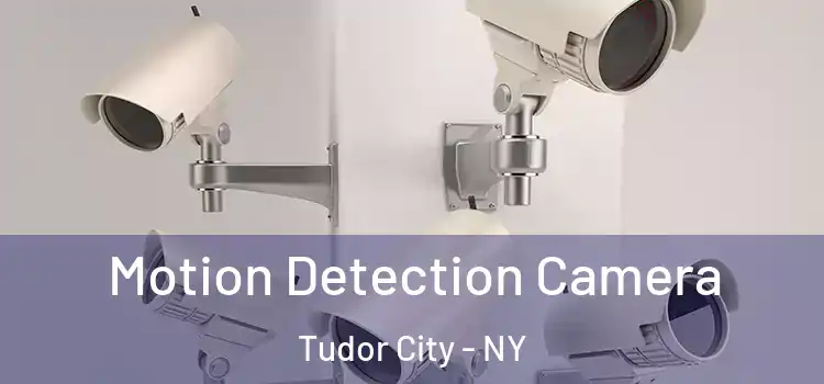  Motion Detection Camera Tudor City - NY
