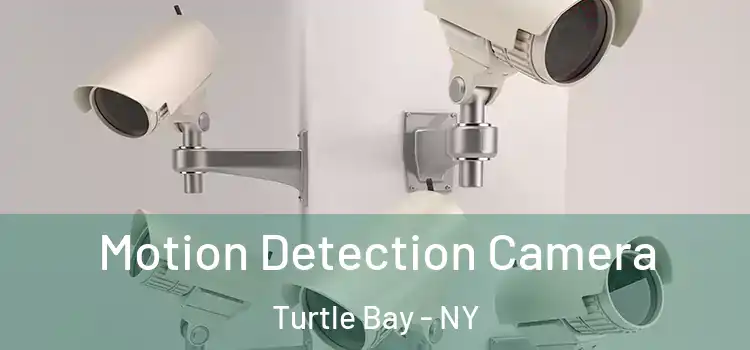  Motion Detection Camera Turtle Bay - NY