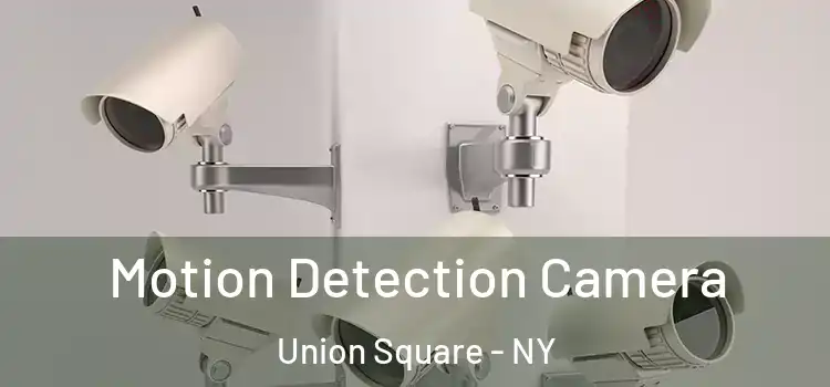  Motion Detection Camera Union Square - NY