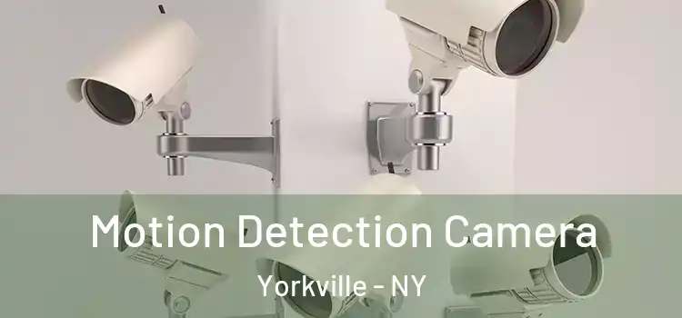  Motion Detection Camera Yorkville - NY