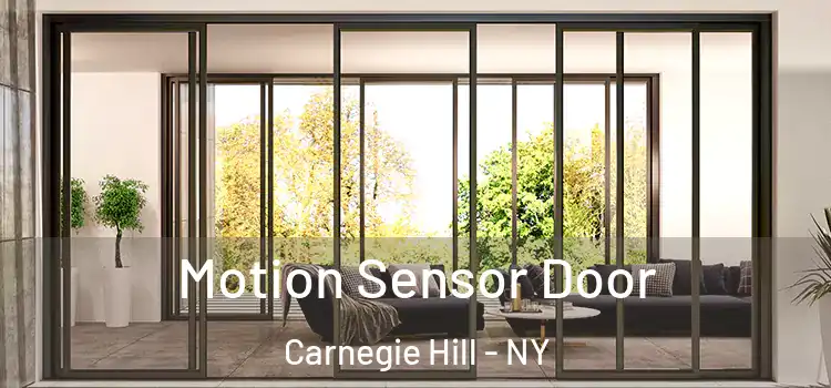  Motion Sensor Door Carnegie Hill - NY