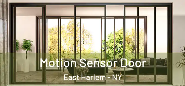  Motion Sensor Door East Harlem - NY