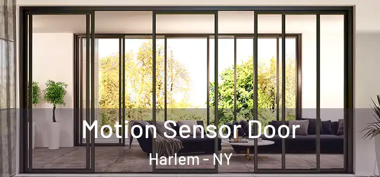  Motion Sensor Door Harlem - NY