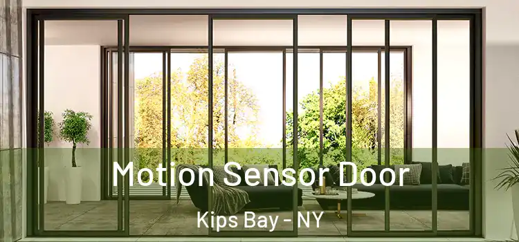  Motion Sensor Door Kips Bay - NY