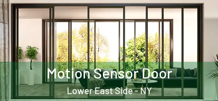  Motion Sensor Door Lower East Side - NY