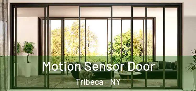  Motion Sensor Door Tribeca - NY