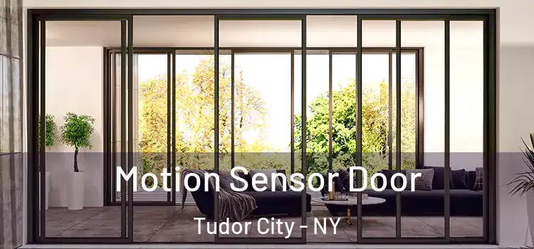  Motion Sensor Door Tudor City - NY