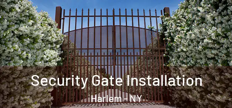  Security Gate Installation Harlem - NY
