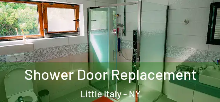  Shower Door Replacement Little Italy - NY