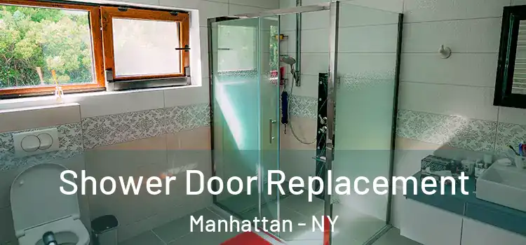  Shower Door Replacement Manhattan - NY