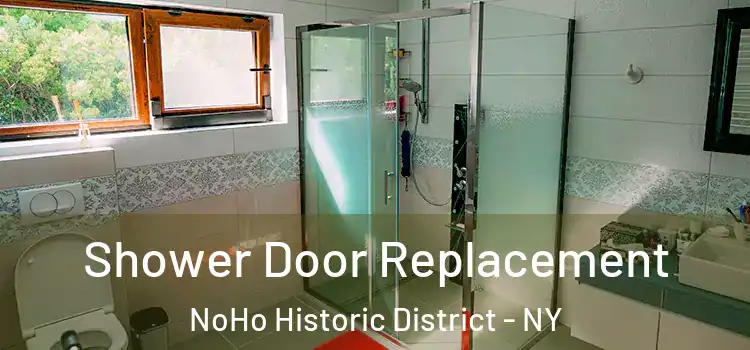  Shower Door Replacement NoHo Historic District - NY