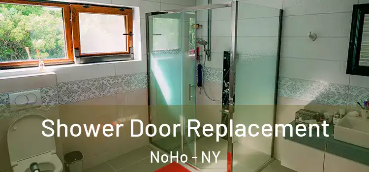  Shower Door Replacement NoHo - NY