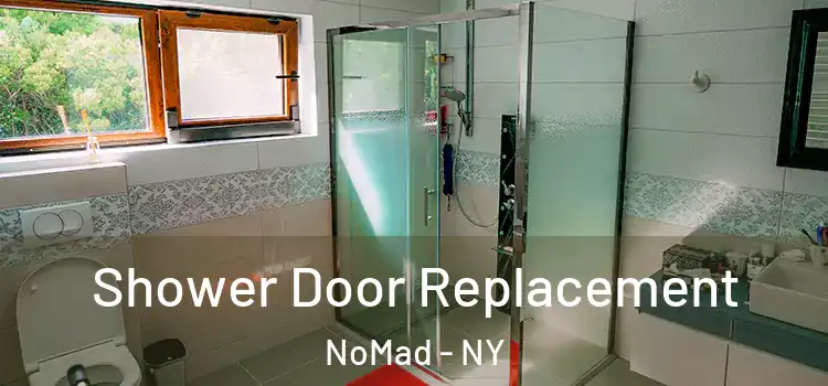  Shower Door Replacement NoMad - NY