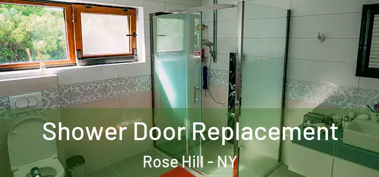 Shower Door Replacement Rose Hill - NY