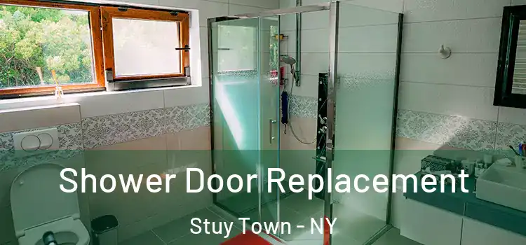  Shower Door Replacement Stuy Town - NY