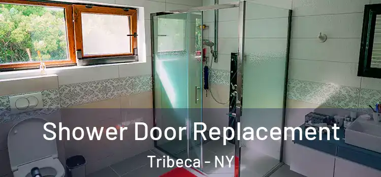  Shower Door Replacement Tribeca - NY