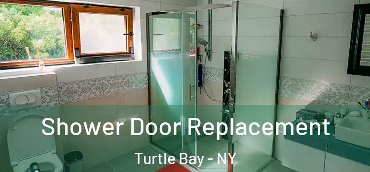 Shower Door Replacement Turtle Bay - NY