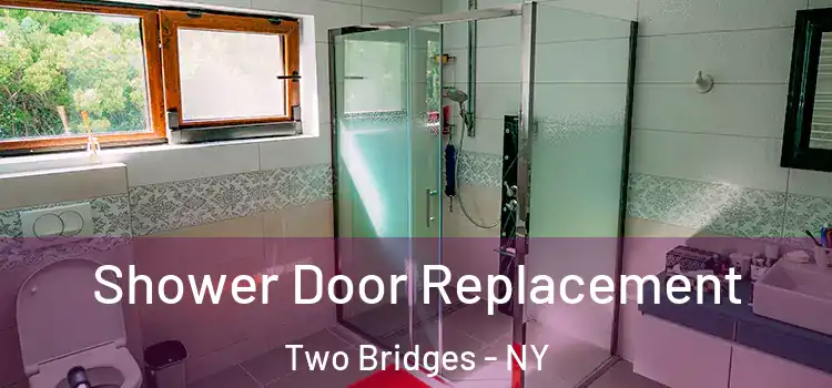  Shower Door Replacement Two Bridges - NY