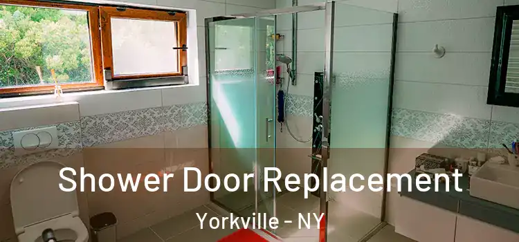  Shower Door Replacement Yorkville - NY