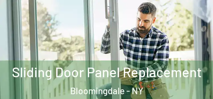  Sliding Door Panel Replacement Bloomingdale - NY