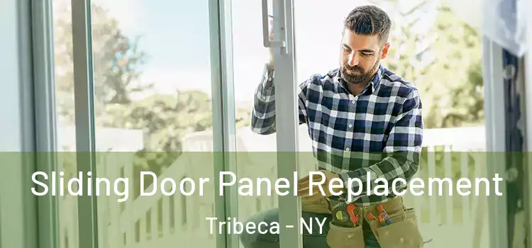  Sliding Door Panel Replacement Tribeca - NY