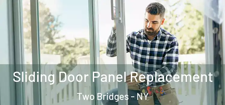  Sliding Door Panel Replacement Two Bridges - NY