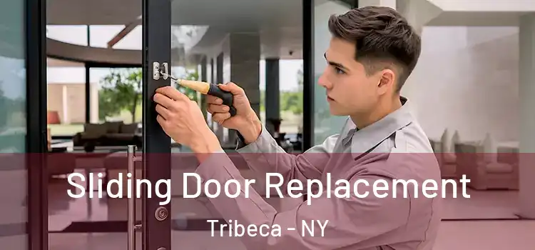  Sliding Door Replacement Tribeca - NY
