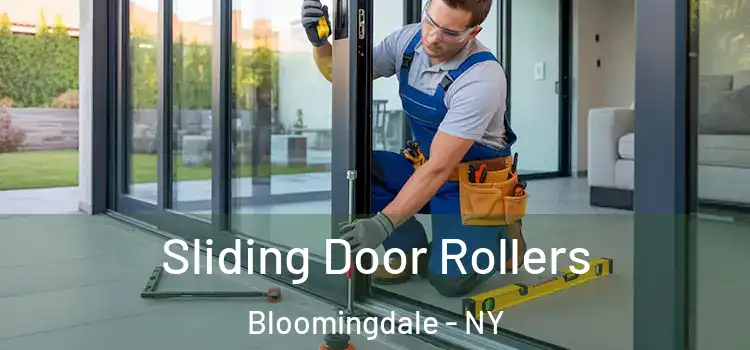  Sliding Door Rollers Bloomingdale - NY