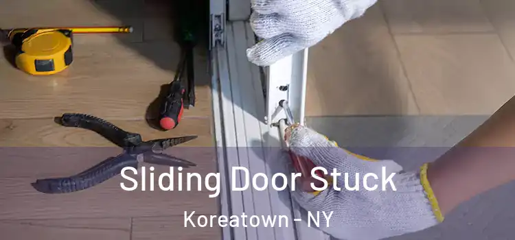  Sliding Door Stuck Koreatown - NY