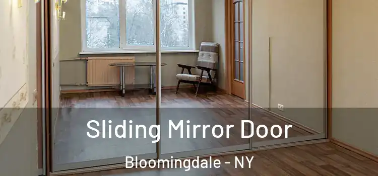  Sliding Mirror Door Bloomingdale - NY