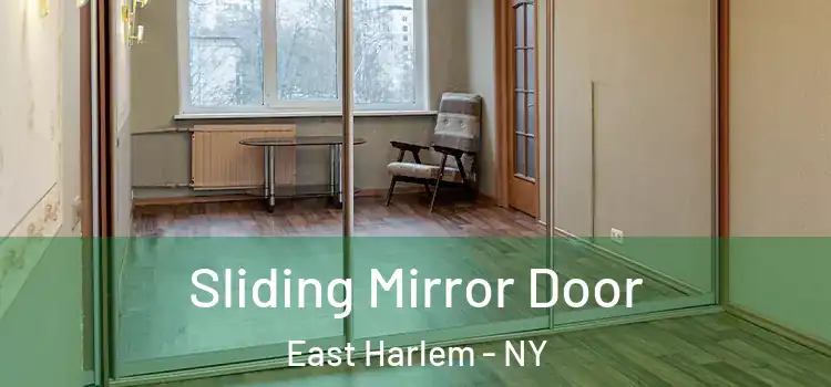  Sliding Mirror Door East Harlem - NY