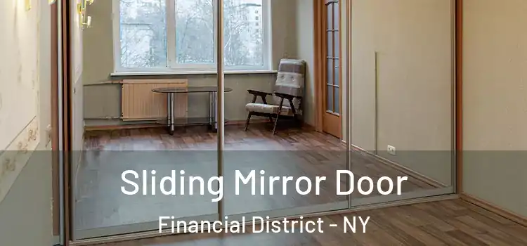  Sliding Mirror Door Financial District - NY