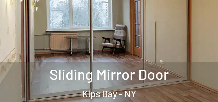  Sliding Mirror Door Kips Bay - NY
