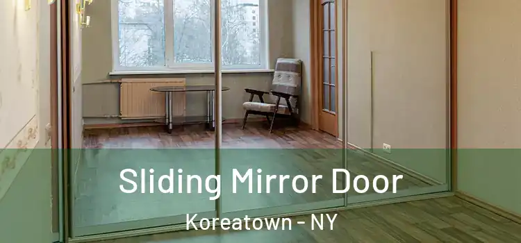  Sliding Mirror Door Koreatown - NY