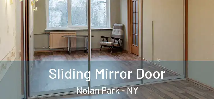  Sliding Mirror Door Nolan Park - NY