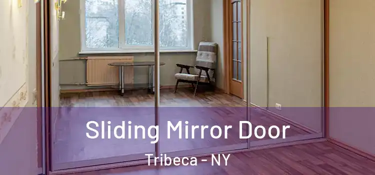  Sliding Mirror Door Tribeca - NY