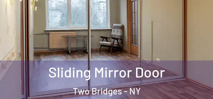  Sliding Mirror Door Two Bridges - NY