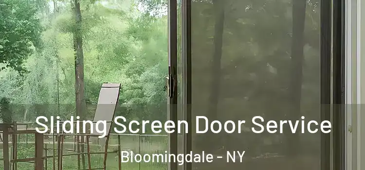  Sliding Screen Door Service Bloomingdale - NY