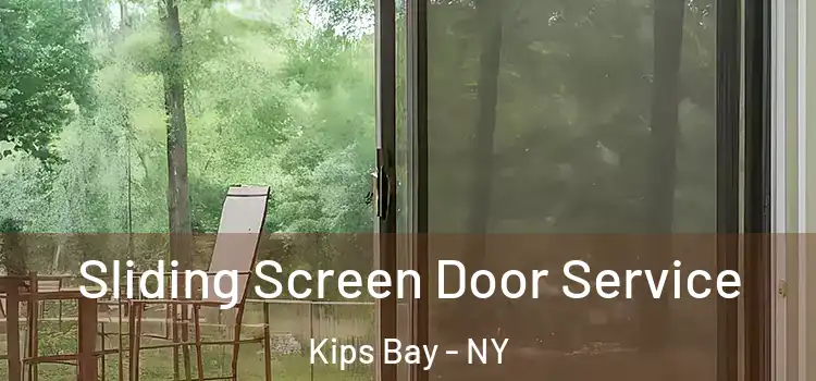  Sliding Screen Door Service Kips Bay - NY
