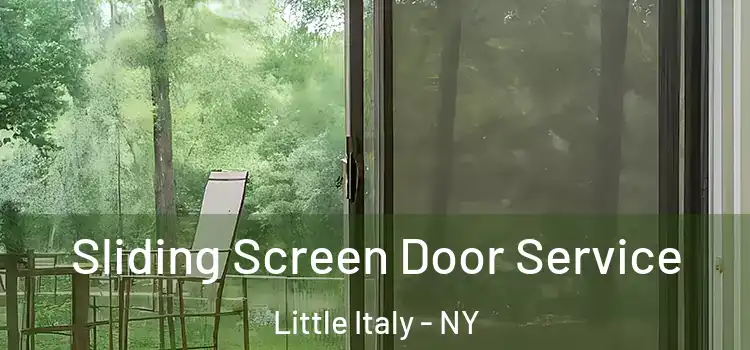 Sliding Screen Door Service Little Italy - NY