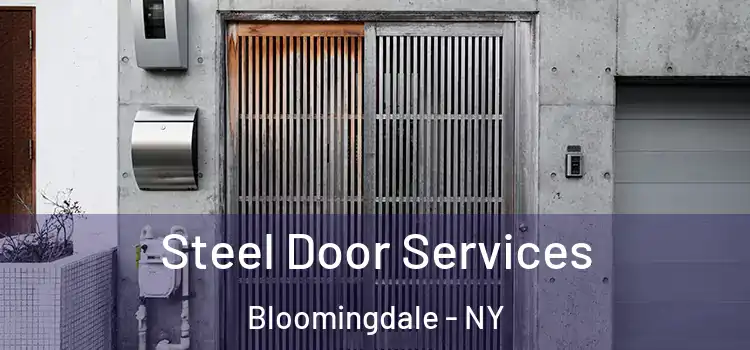  Steel Door Services Bloomingdale - NY