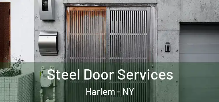  Steel Door Services Harlem - NY